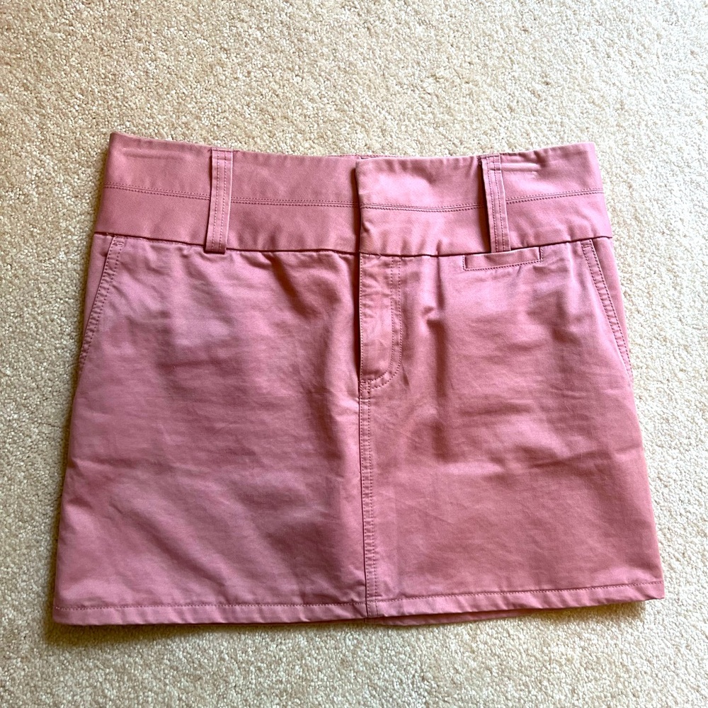 Adorable pink class skirt